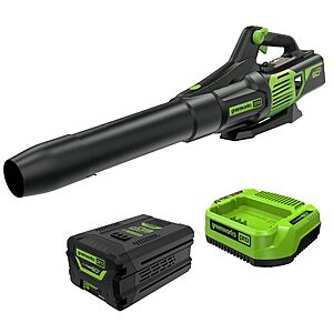 Greenworks 60V Electric Leaf Blower with 2.5Ah Battery & Charger for $98